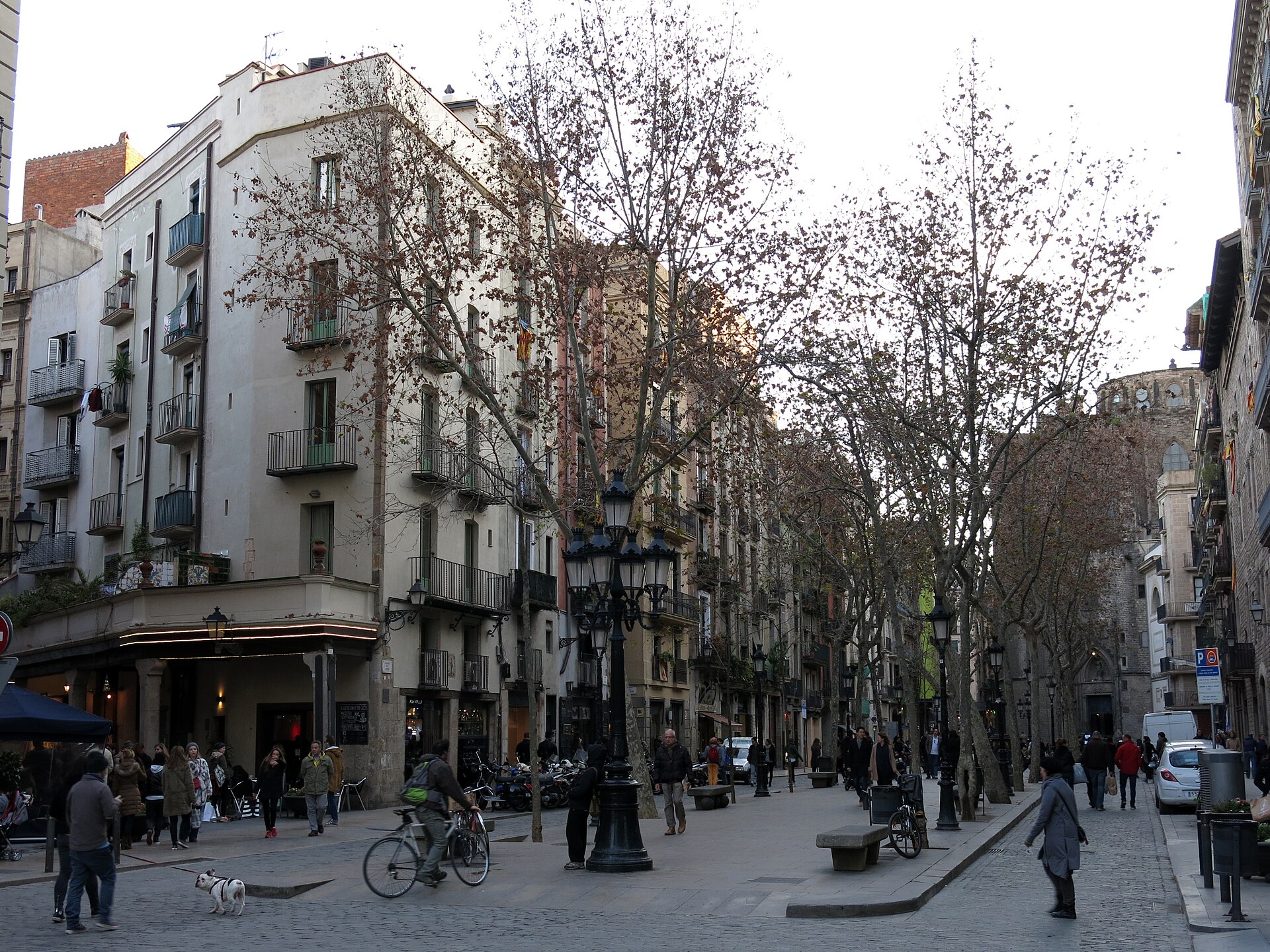 Cal Pep 1/1