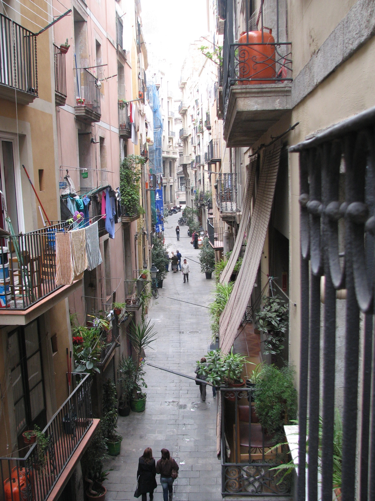 Vila Viniteca 1/1