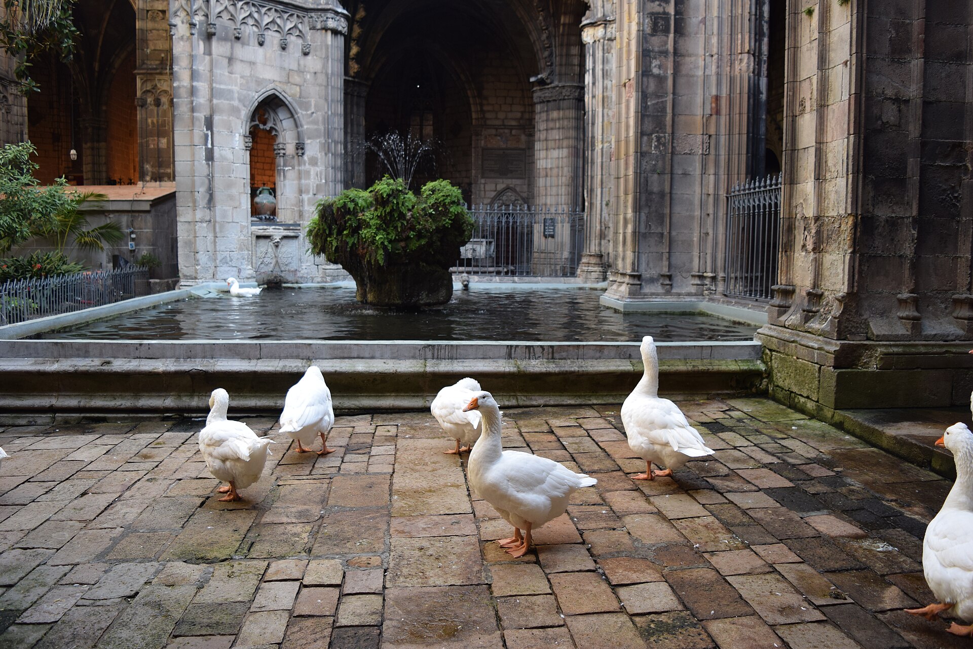 Gothic Quarter (Barri Gòtic) 1/1